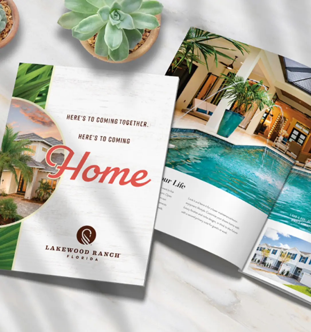 Services Launch Brochure